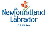 Logo de l’organisation Government of Newfoundland and Labrador (GNL) - Public Procurement Agency 